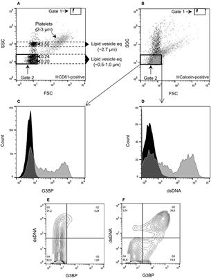 Stimulation of Mononuclear Cells Through Toll-Like Receptor 9 Induces Release of Microvesicles Expressing Double-Stranded DNA and Galectin 3-Binding Protein in an Interferon-α-Dependent Manner